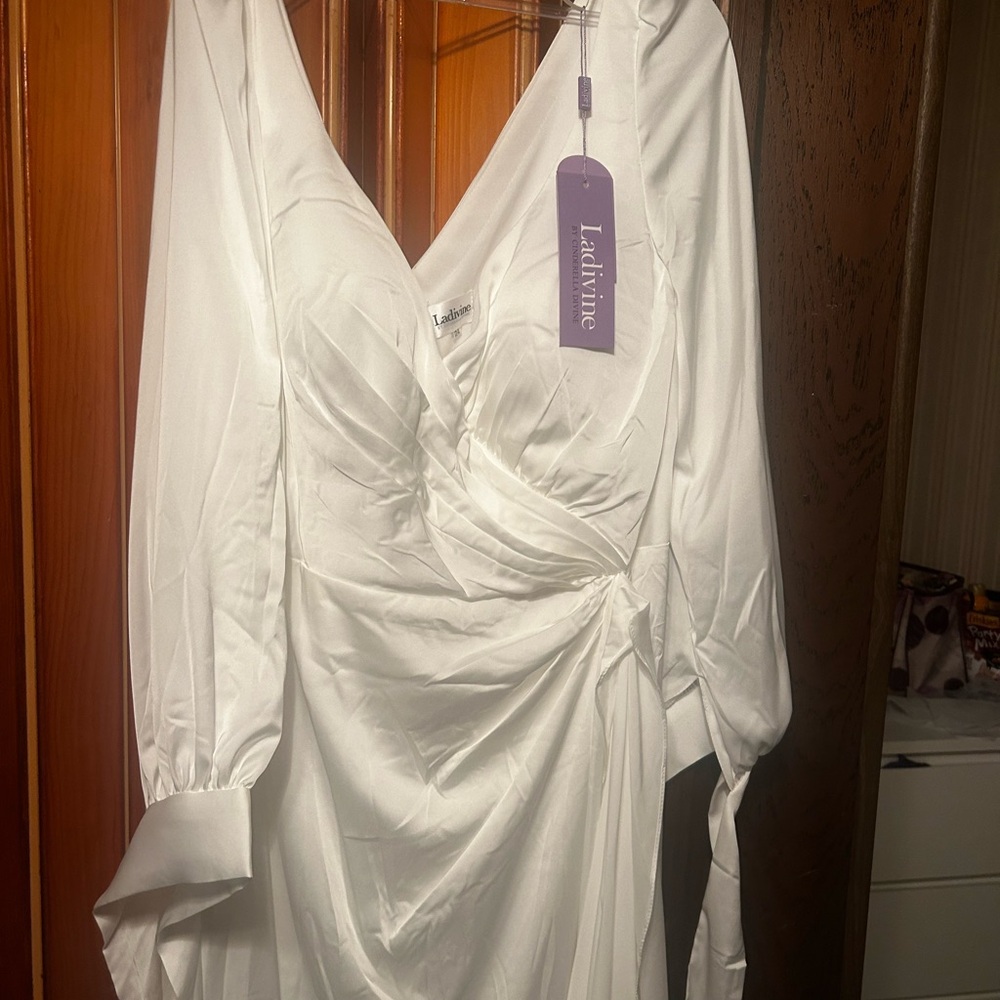 Wedding dress-never worn - Picture 2 of 11